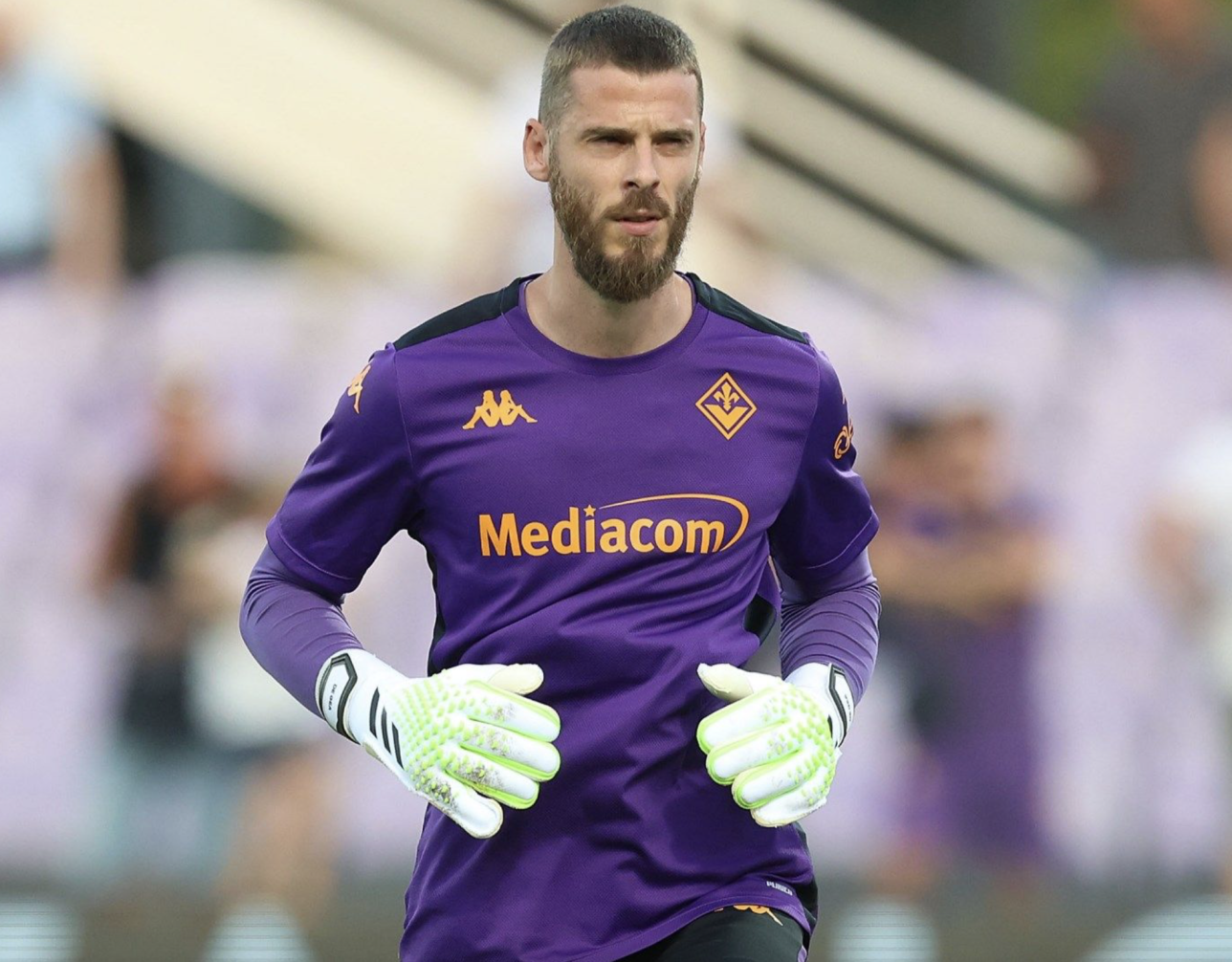 David De Gea, Fiorentina